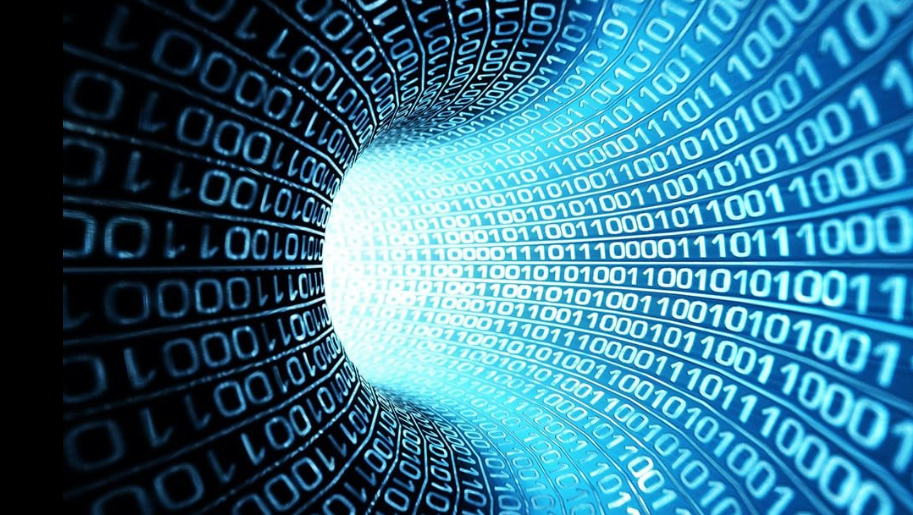 B.Sc. (Hons.) Computer Applications